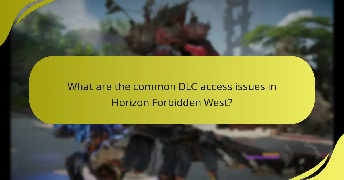 What troubleshooting steps can I take for DLC access errors?