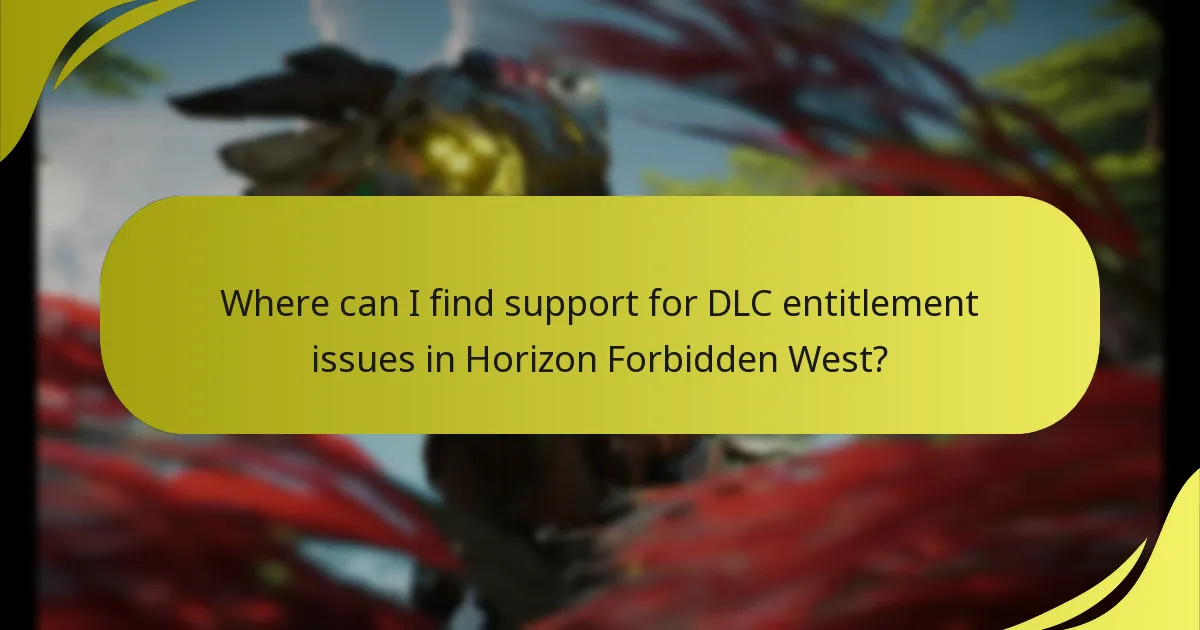 Which steps should I follow to verify my DLC purchase?